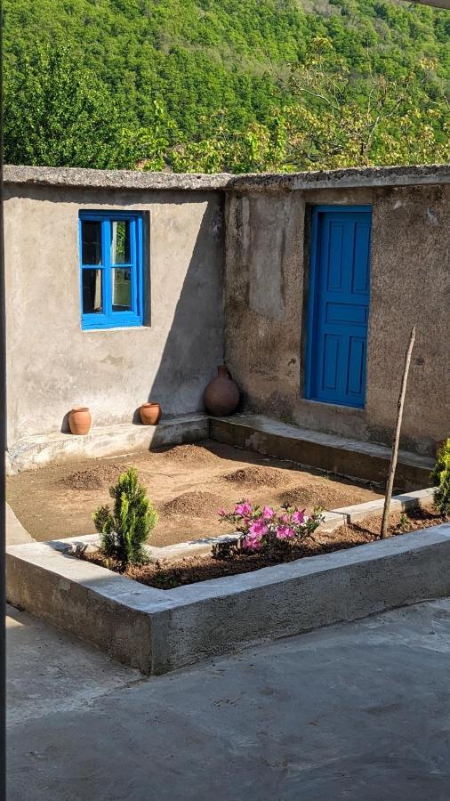 Your Guesthouse in Ubisa Extérieur photo